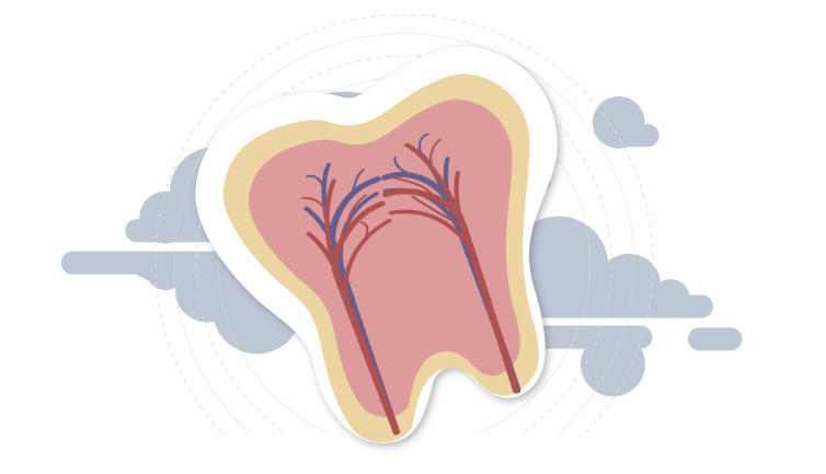 Root Canal Treatment pasadena